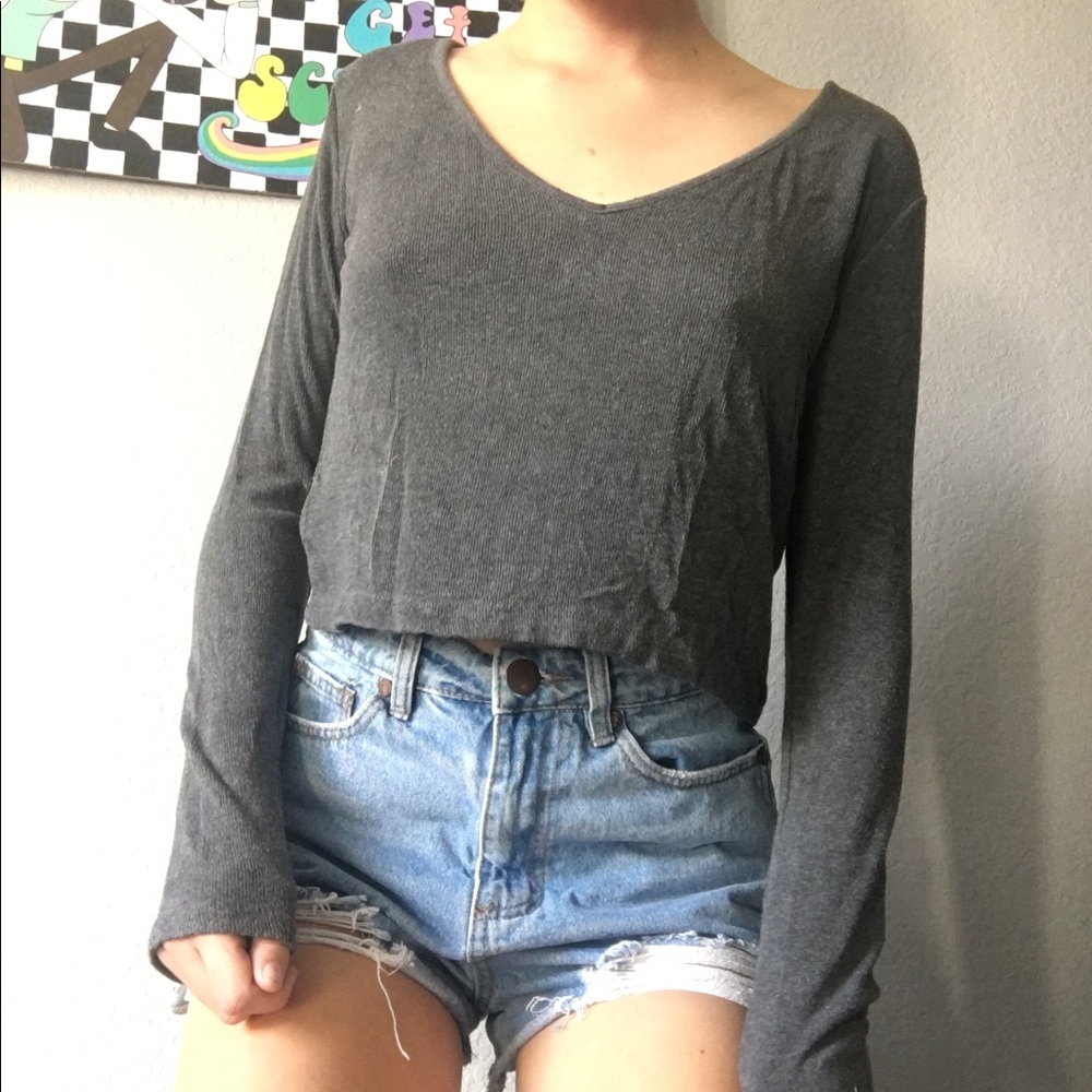 💫Brandy Melville💫 Grey Ribbed Long Sleeve Crop